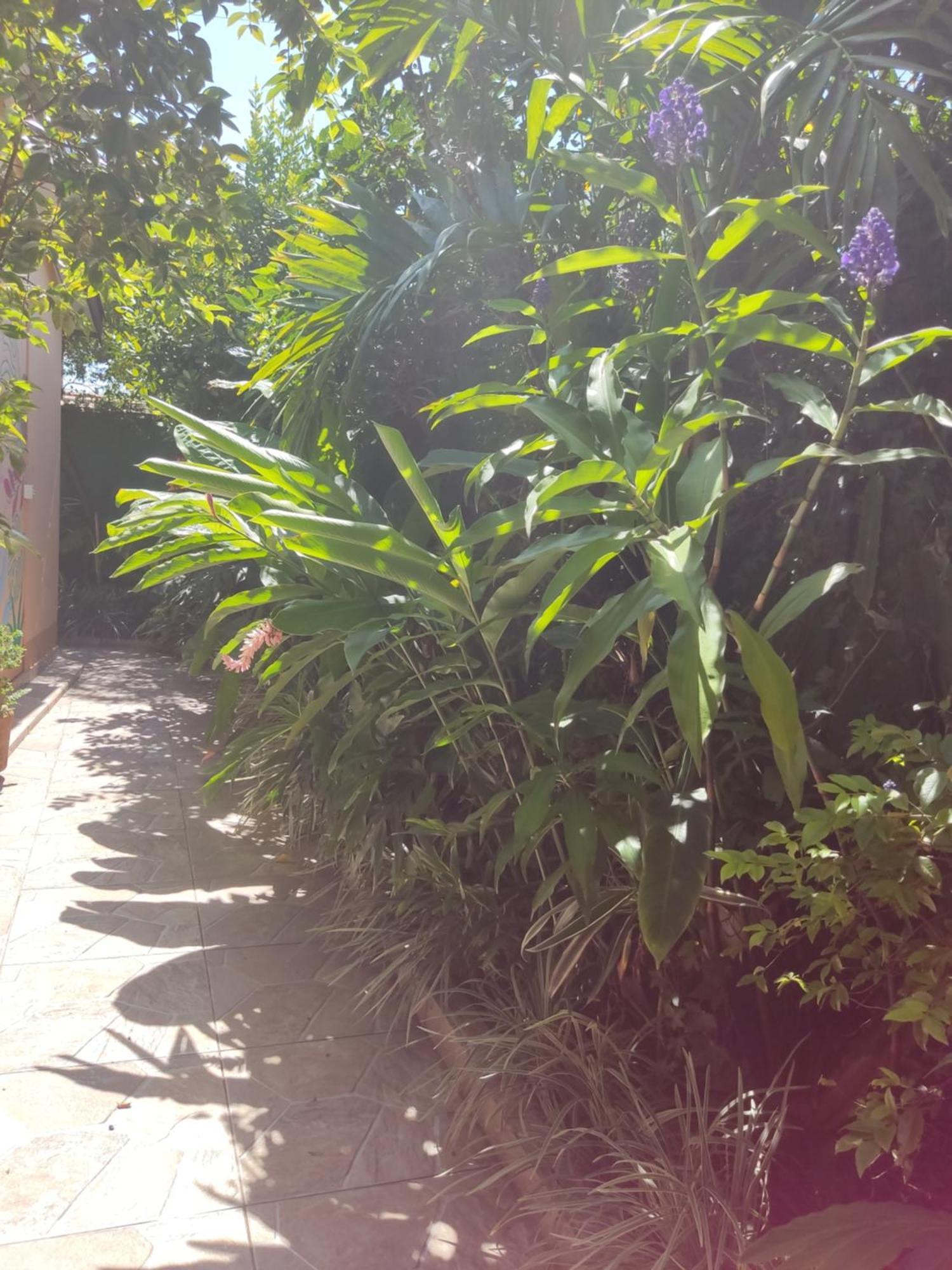 Recanto Toca Das Plantas De Ilhabela I ห้อง รูปภาพ