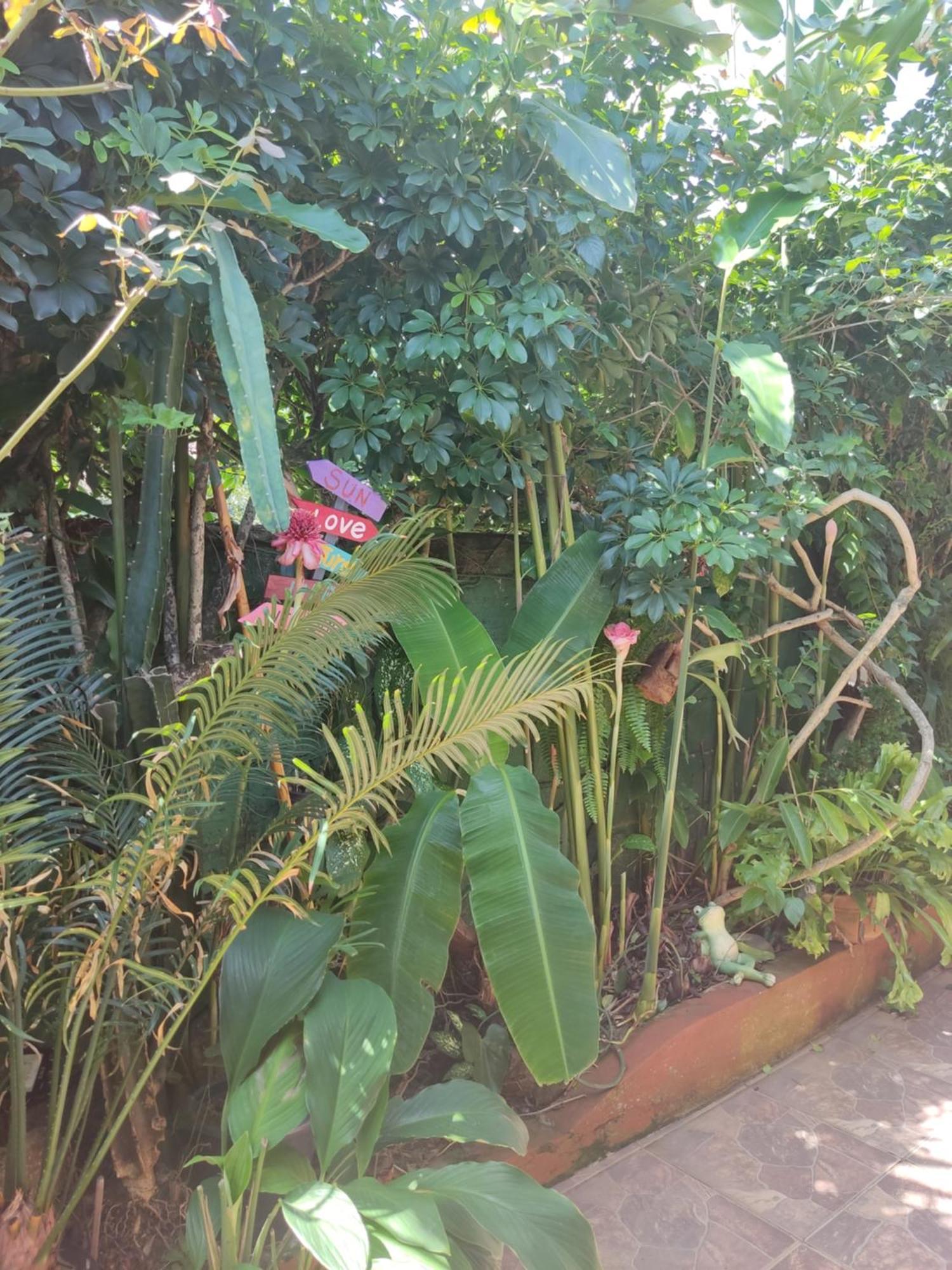 Recanto Toca Das Plantas De Ilhabela I ห้อง รูปภาพ