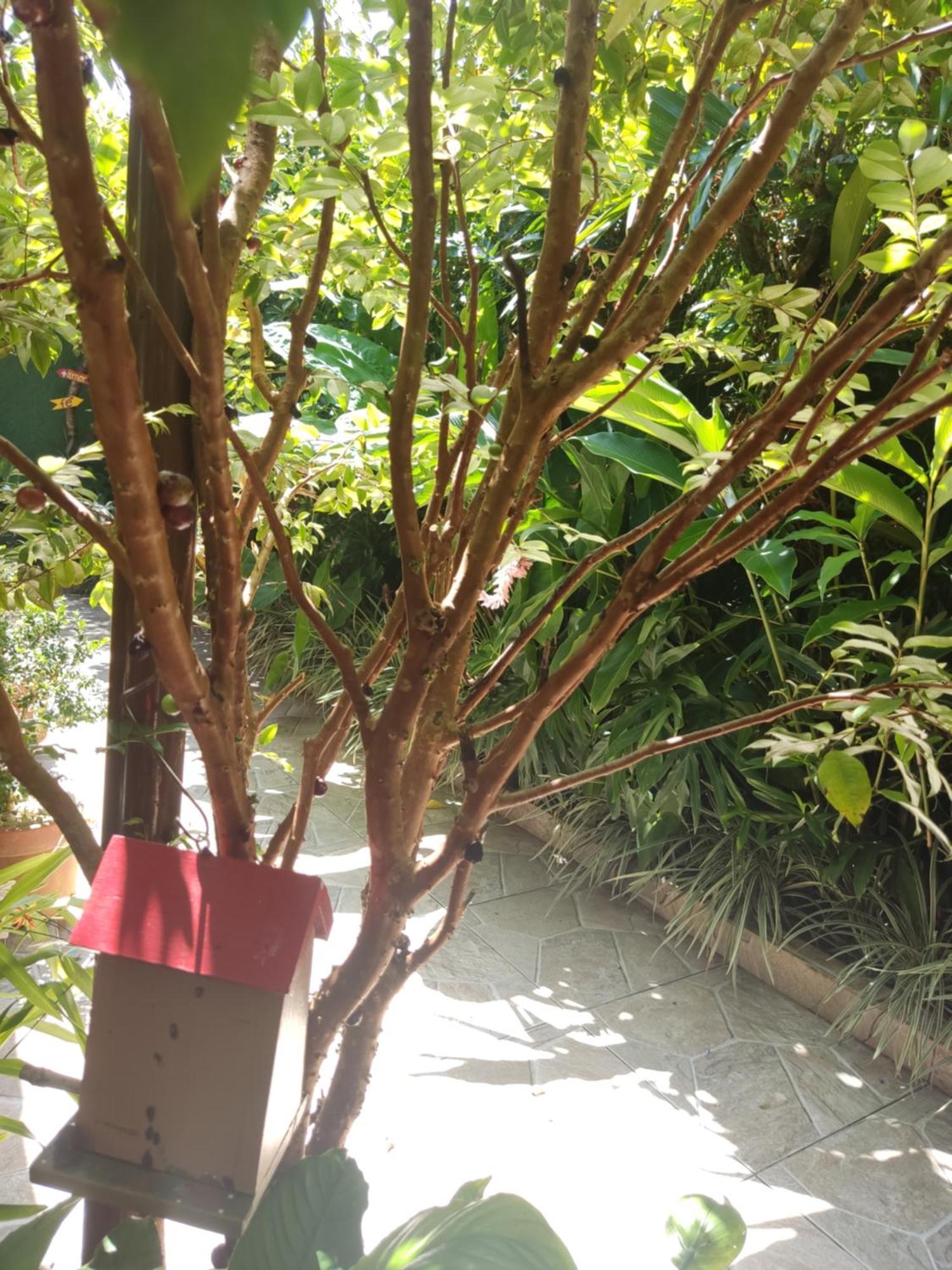 Recanto Toca Das Plantas De Ilhabela I ห้อง รูปภาพ